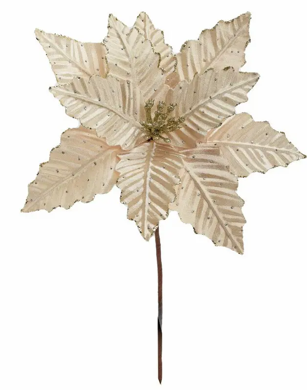 KV.UM.-VO RUZA VIANOCNA 30cm -CHAMPAGNE