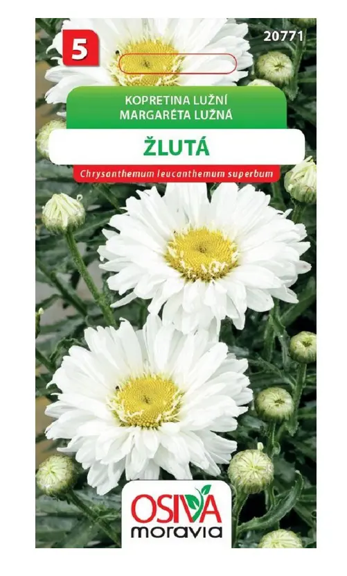 .K-MARGARETA LUZNA  -BIELA 0,3g
