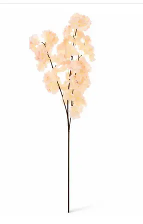 KV.UM.-JABLON MARHULOVA 96cm