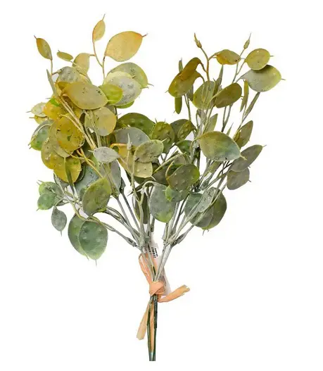 KV.UM.-LUNARIA ZAPICH 32cm