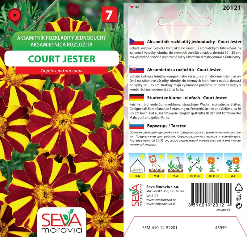 .K-AKSAMIETNIK ROZL.-COURT JES.0,3g