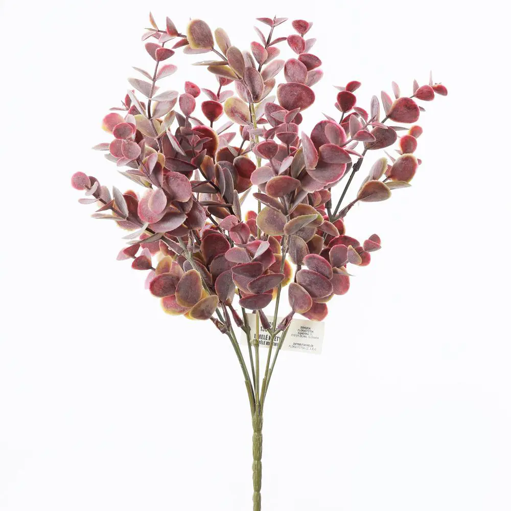 xKV.UM.-EUKALYPTUS FIALOVY 35cm