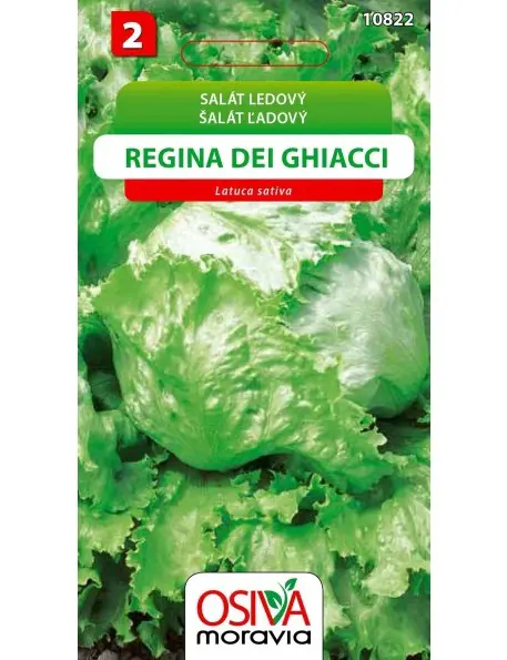 .SALAT LADOVY -REGINA DEI GH.0,5g