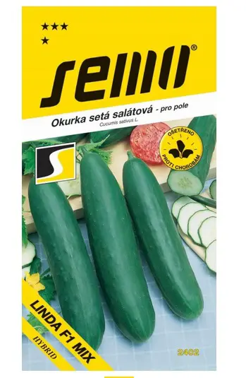.UHORKY SALAT. -LINDA F1 1,3g S