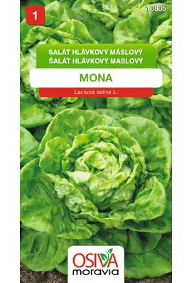 .SALAT HLAVK.MASLOVY -MONA 0,5g
