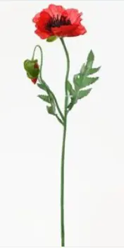 KV.UM.-MAK CERVENY 49cm