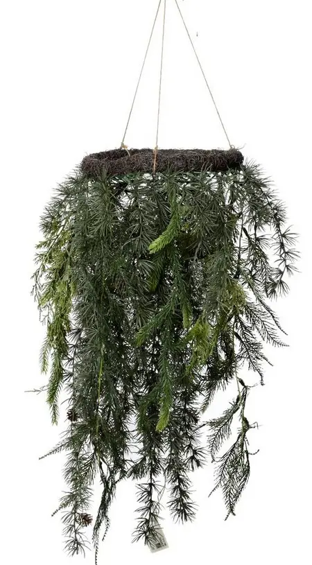 KV.UM.-VO ZAVES CECINA,TUJA ZEL. 70cm
