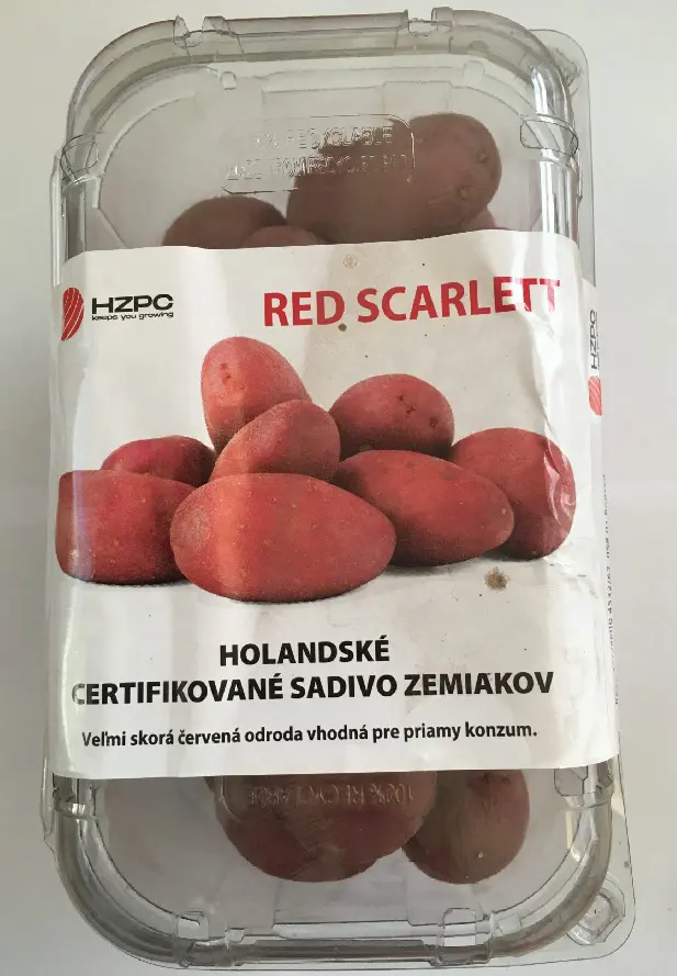 .ZEMIAKY RED SCARLETT VELMI SKORE 1kg