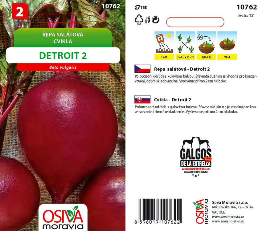 .CVIKLA SALATOVA -DETROIT 2  4g* M