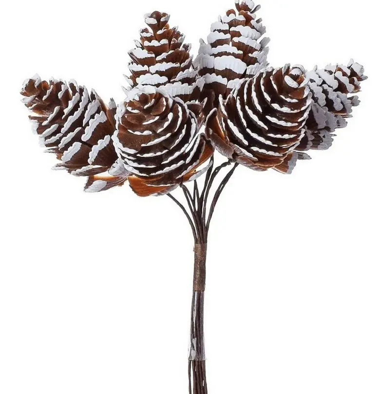 KV.UM.-VO SISKY NATUR S/6 12cm