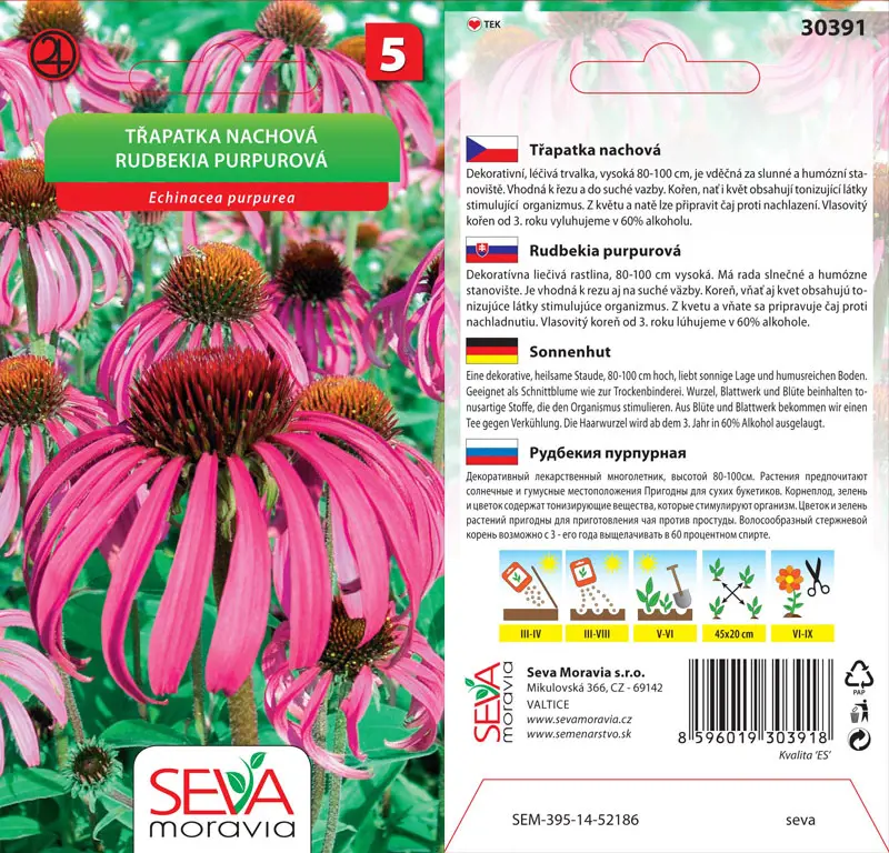 .B-RUDBEKIA PURPUROVA 0,5g