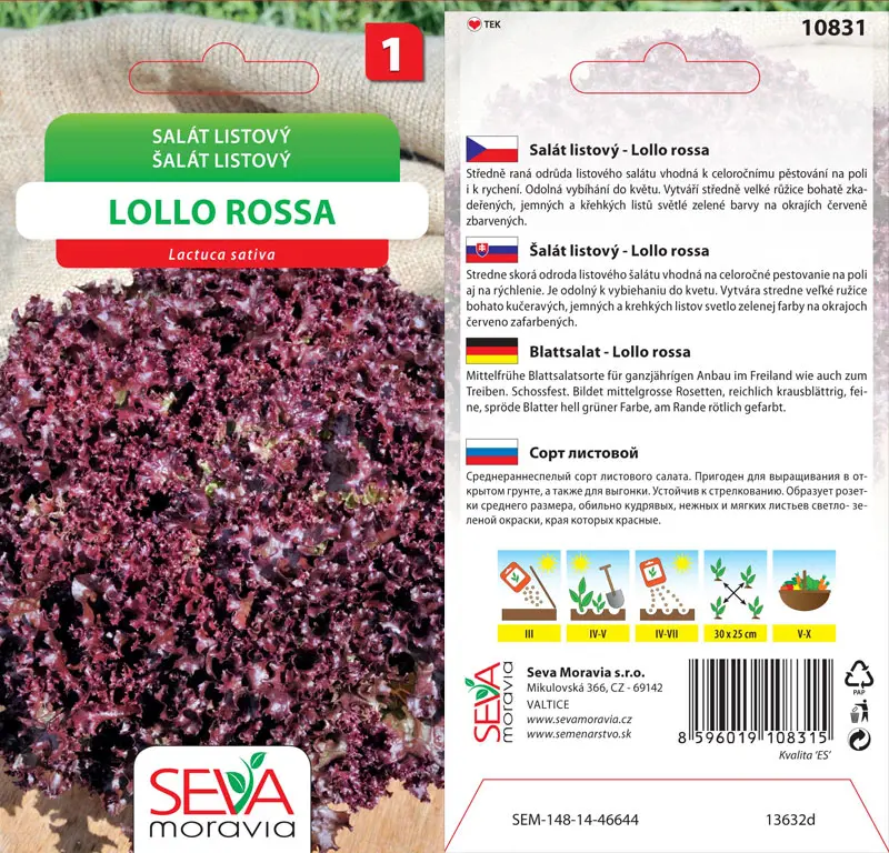 .SALAT LISTOVY -LOLLO ROSSA 0,5g