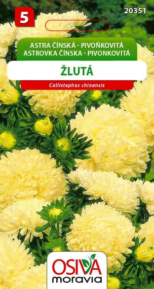 .K-ASTRA CINSKA -PIVONKO.ZLTA 0,4g