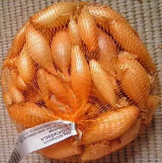 .CIBULA SADZACKA 250g -BIRNFORMIGE