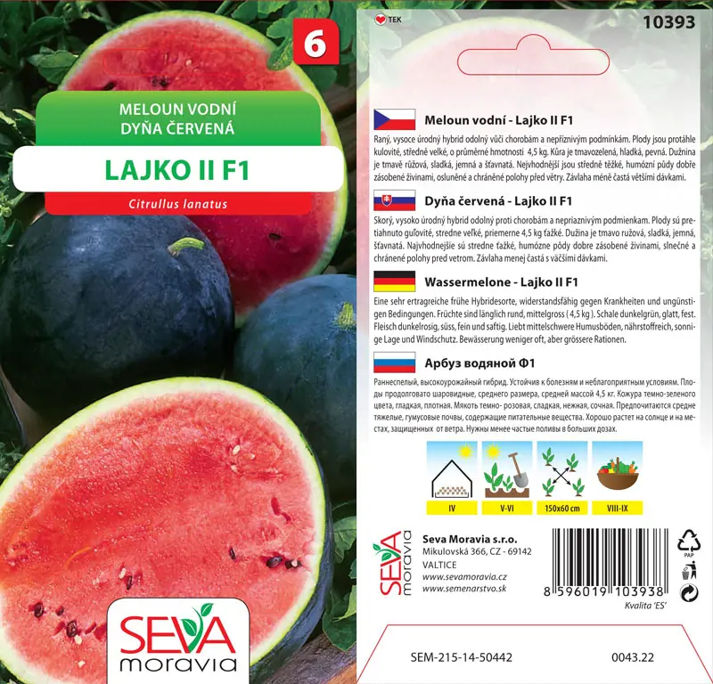 .MELON VODOVY -LAJKO* F1 8s