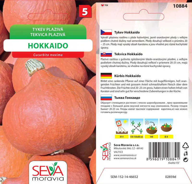 .TEKVICA PLAZIVA -HOKKAIDO 10s