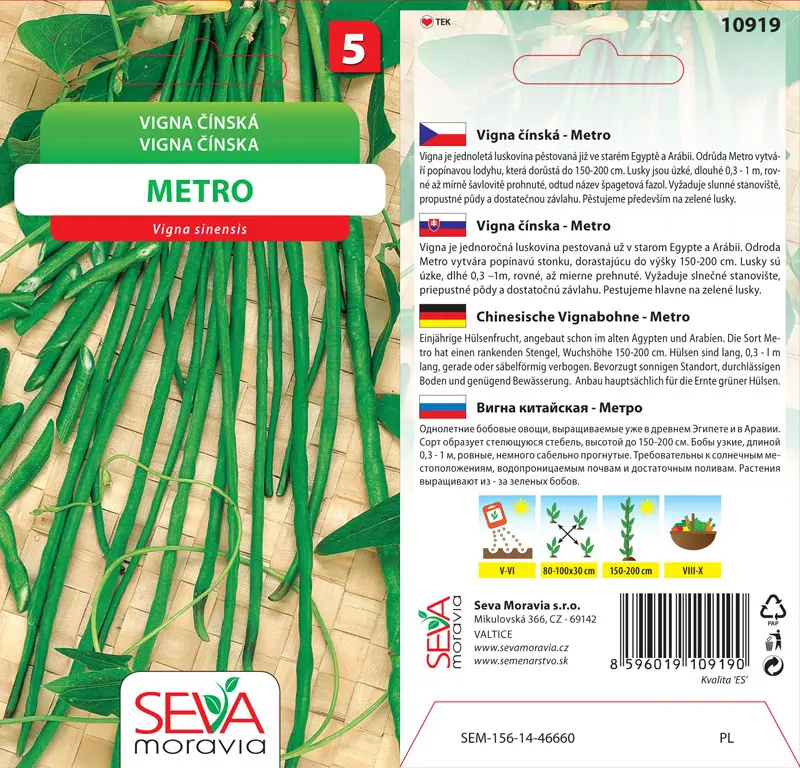 .VIGNA CINSKA -METRO 6g