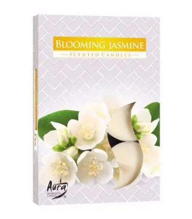KAHANCE CAJ.VONAVE 6ks -BLOOMING JASMINE