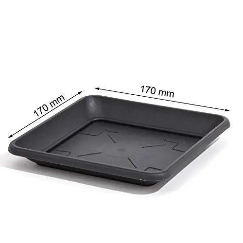 ,MISKA KVADRAT PKWT17 17x2,4cm -ANTR
