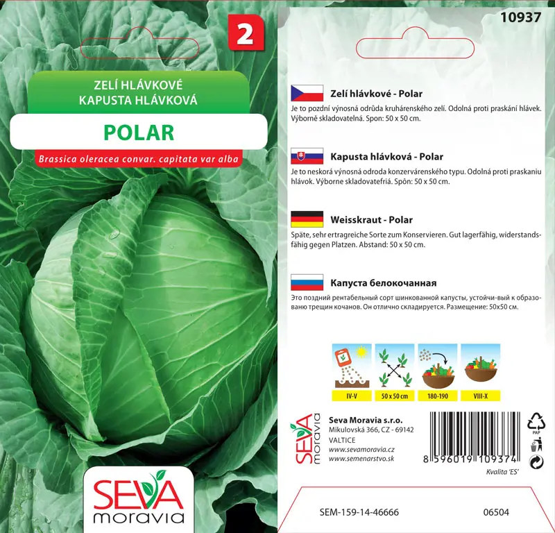 .KAPUSTA NESKORA -POLAR 0,8g* M x