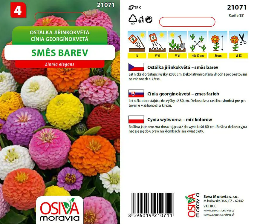.K-CINIA GEORGINOKVETA -ZMES FAR.1g