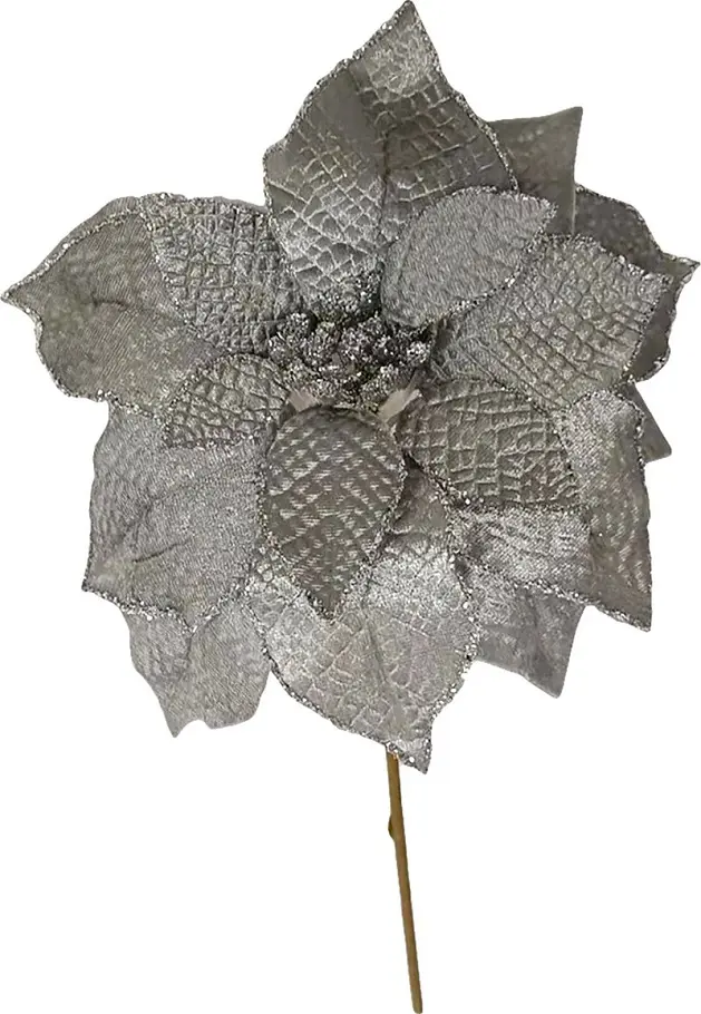 KV.UM.-VO POINSETTIA STRIEBORNA+STON
