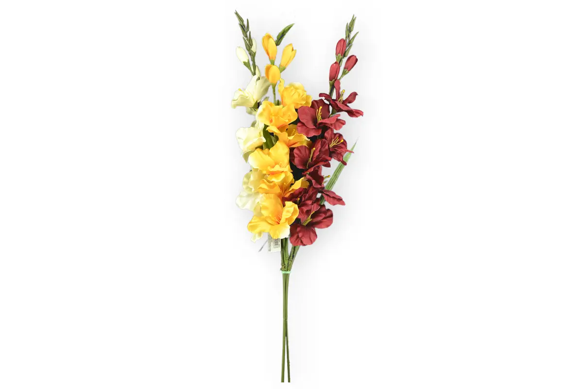 xKV.UM.-GLADIOLA SINGLE 1ks
