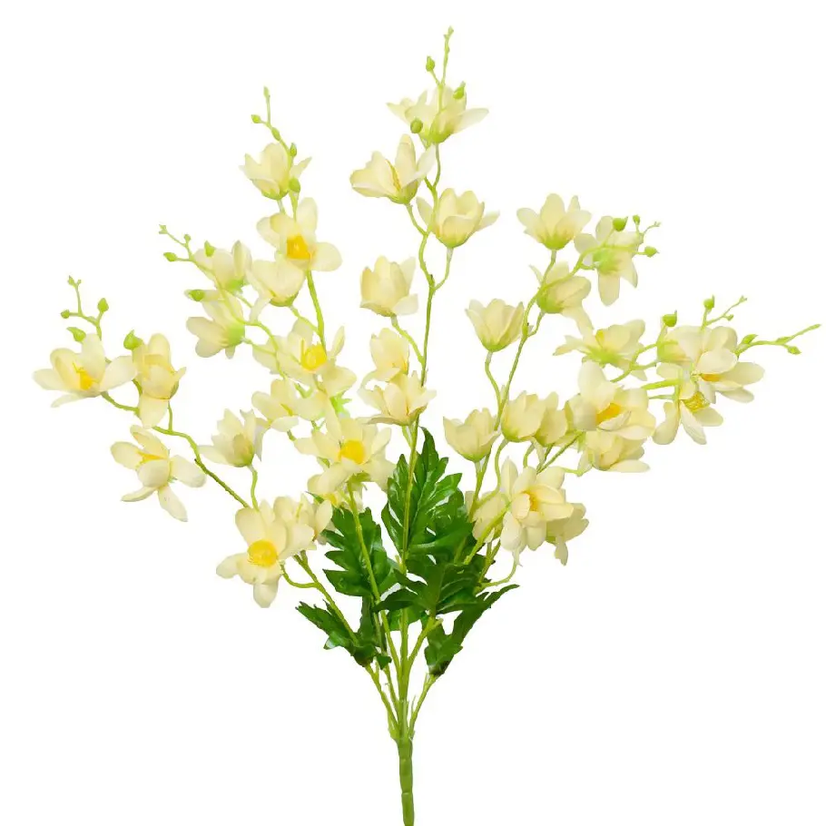 KV.UM.-KYTICA ARANZOVNA BROSKYNA 53cm