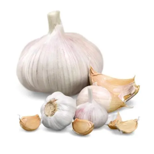 .CESNAK SADB.MORADO 250g -PALICIAK