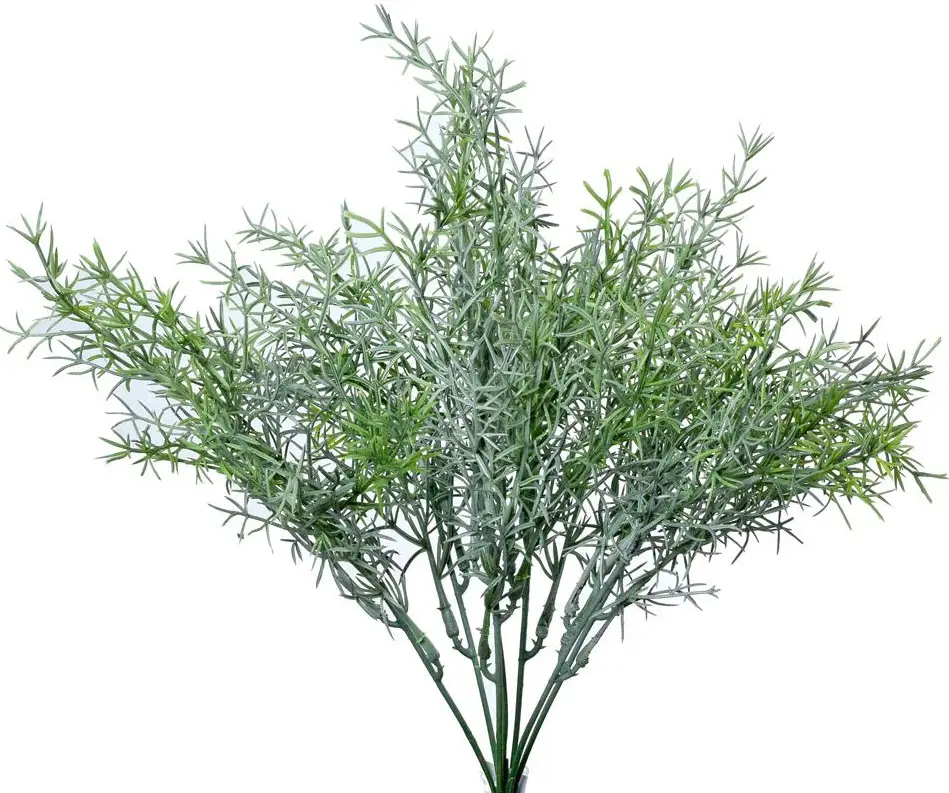 KV.UM.-TUJA BIELA 39cm
