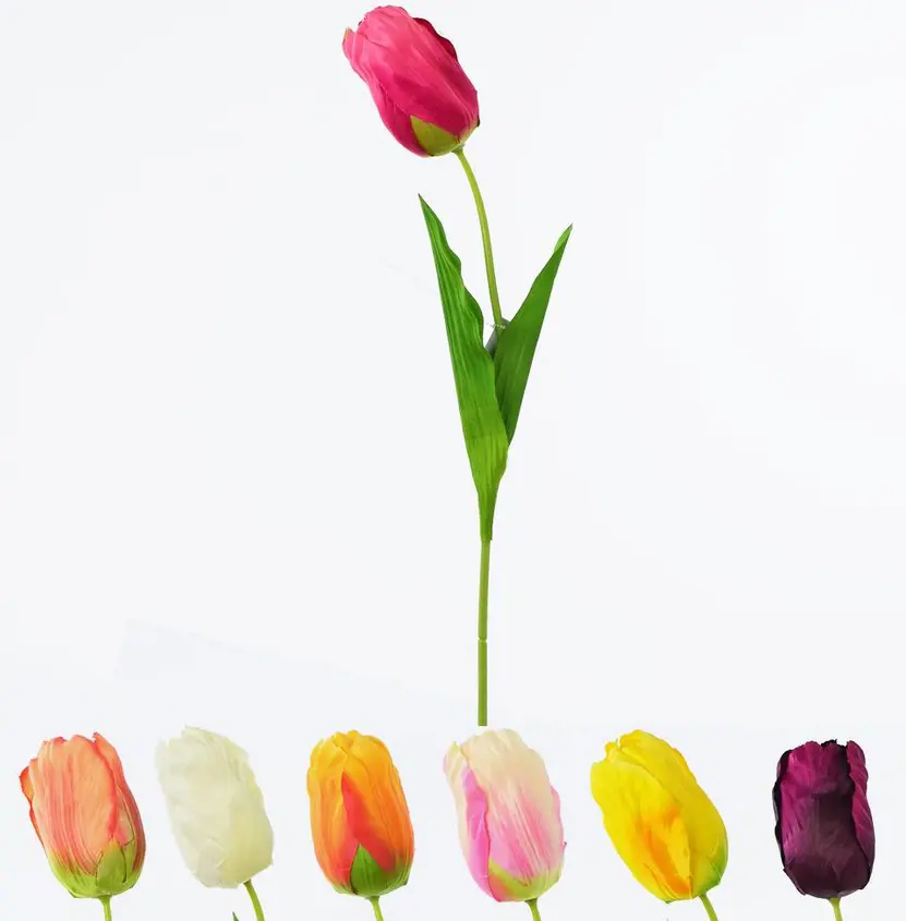 xKV.UM.-TULIPAN MIX 4 FARBY