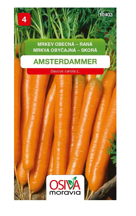 .MRKVA SKORA -AMSTERDAMMER 3g