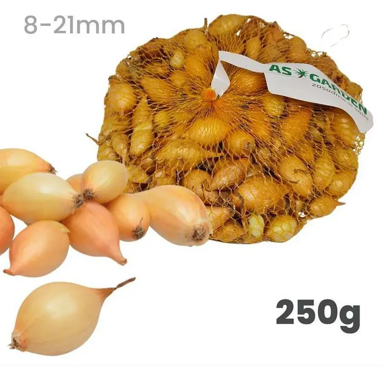 .CIBULA SADZACKA 250g -STURON 8-21mm