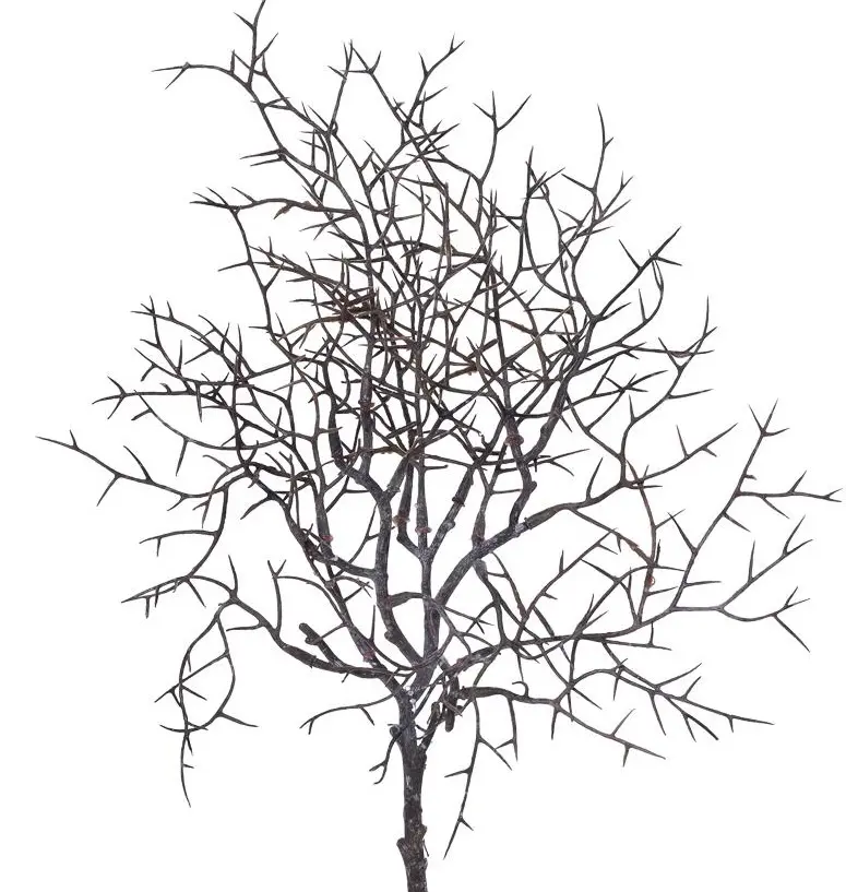 KV.UM.-KONAR PRIRODNY HNEDY 42cm