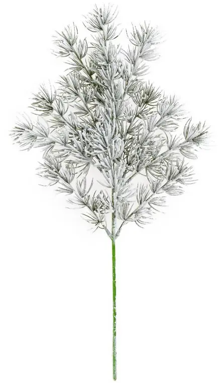 KV.UM.-VO KONAR CECINA OSNEZENA 50cm