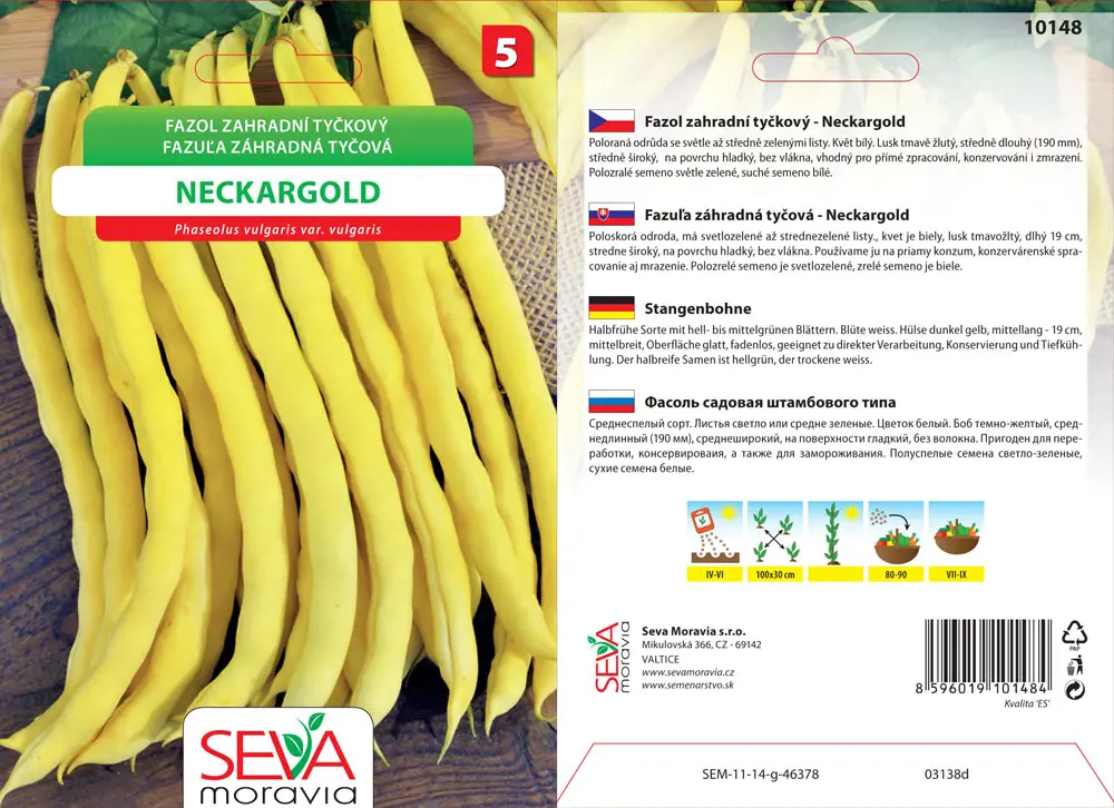 .FAZULA KOL.ZLTOL. -NECKARGOL15g* M