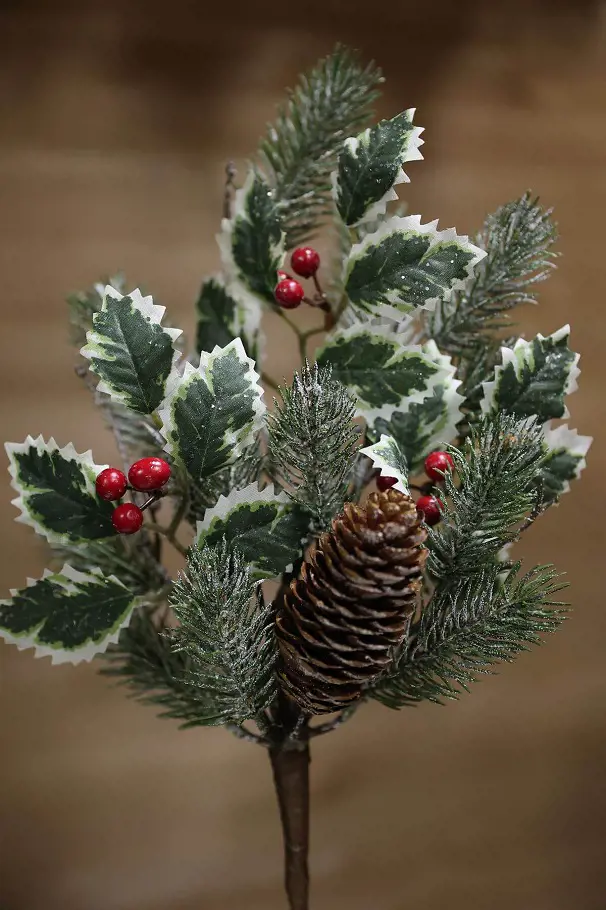 KV.UM.-VO HALUZKA ZAMRZNUTA ILEX