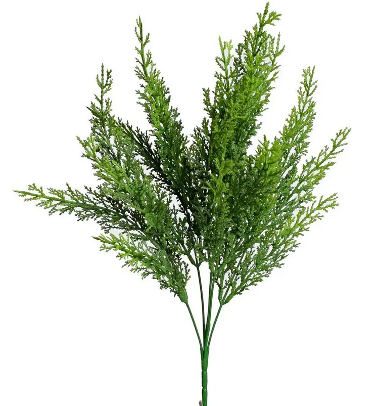 KV.UM.-ZAPICH THUJA 39cm