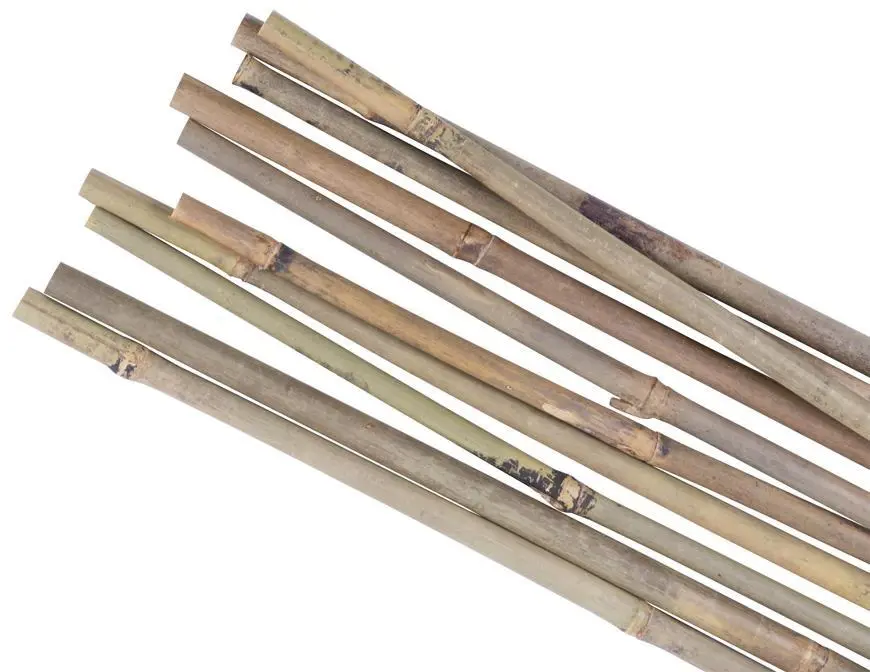 TYC BAMBUS 120cm /12-14/