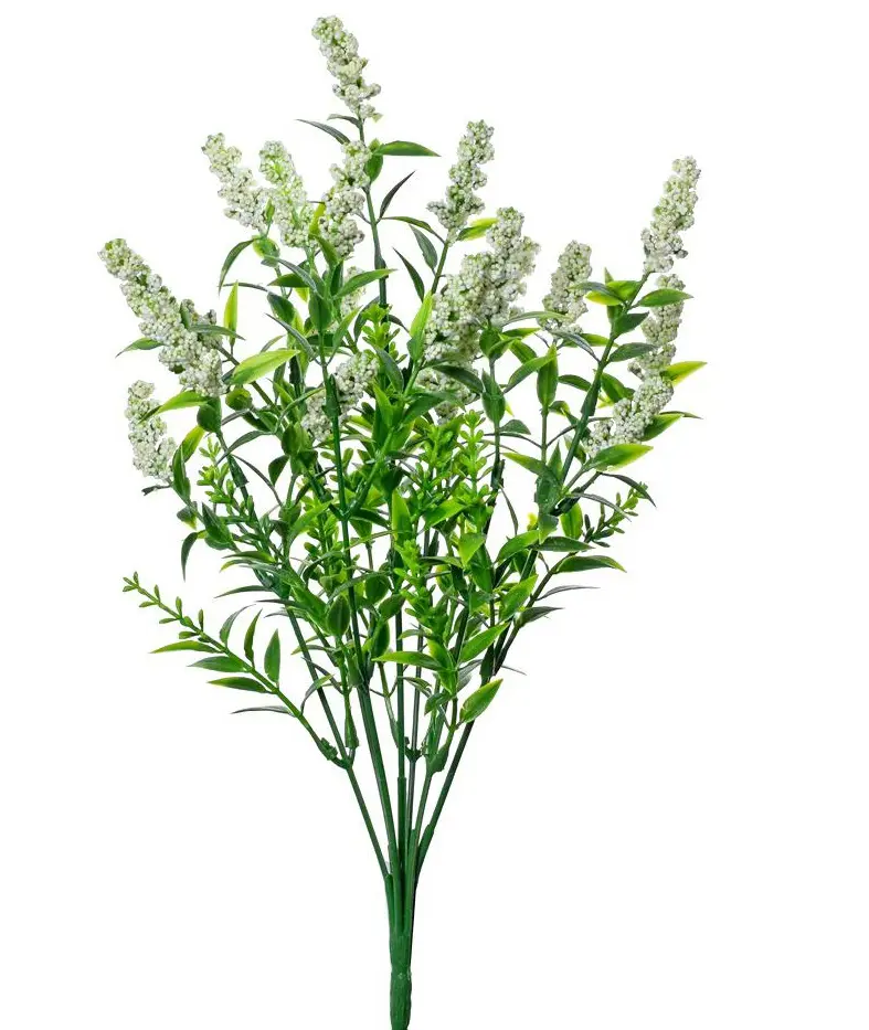 KV.UM.-ZELEN BIELA 35cm