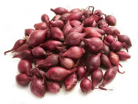 .CIBULA SADZACKA 250g -AKADO ozimná