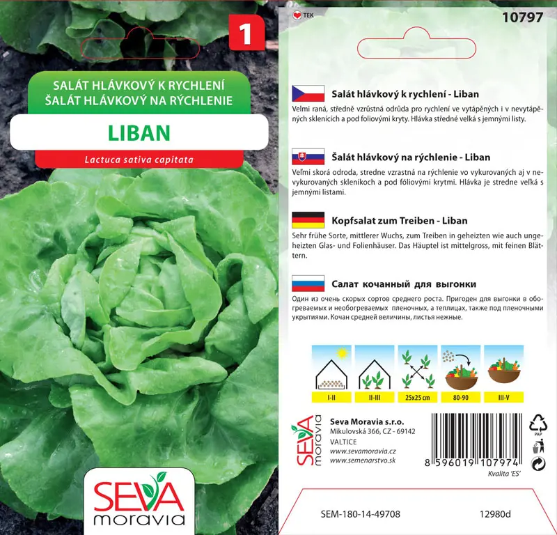 .SALAT HLAVK.RYCHL. -LIBAN 0,5g* M