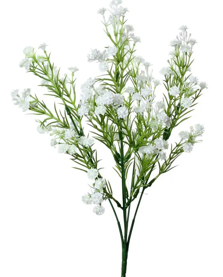 KV.UM.-GYPSOMILKA 32cm