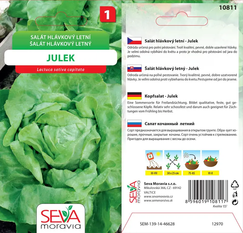 .SALAT HLAVK.LETNY -JULEK 0,5g