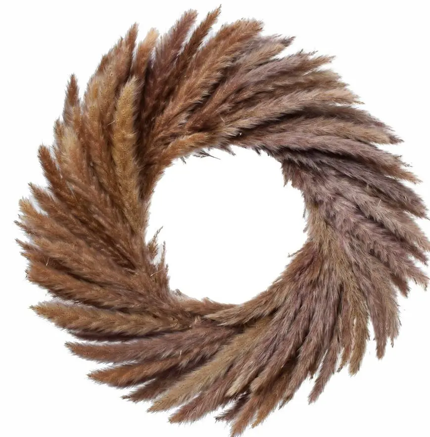 VENIEC PENISETUM 35cm