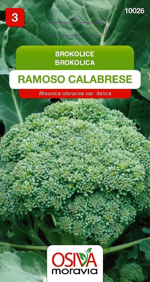 .BROKOLICA -RAMOSO CALABRESE 0,6g