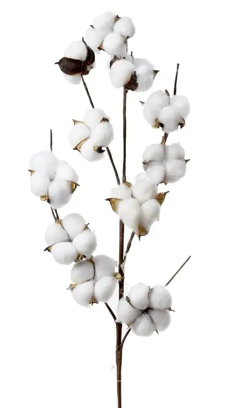 KV.UM.-VO KONAR BAVLNA 71cm