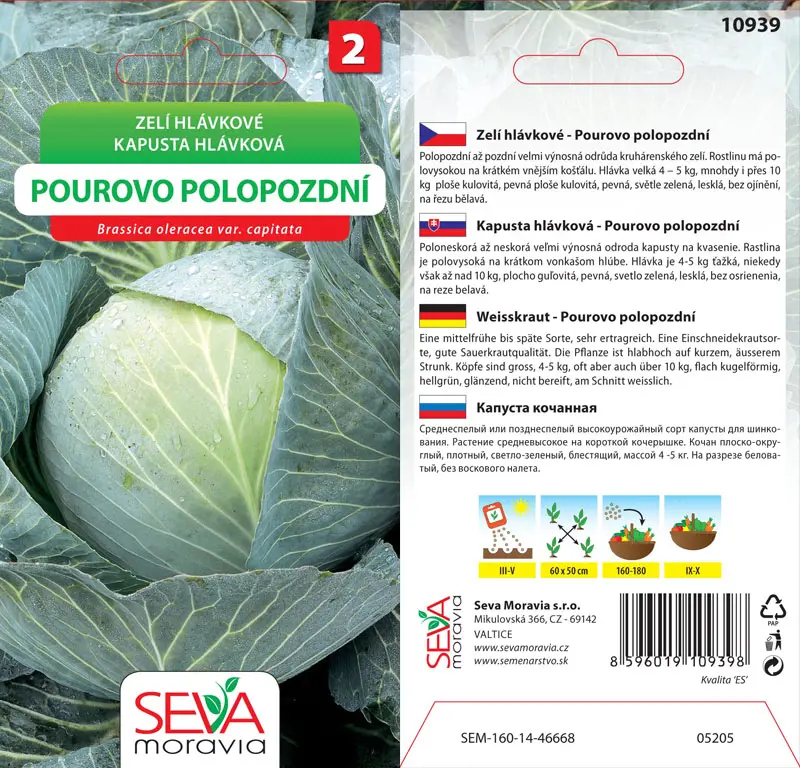 .KAPUSTA POLONESKORA -POUR.0,8g* M