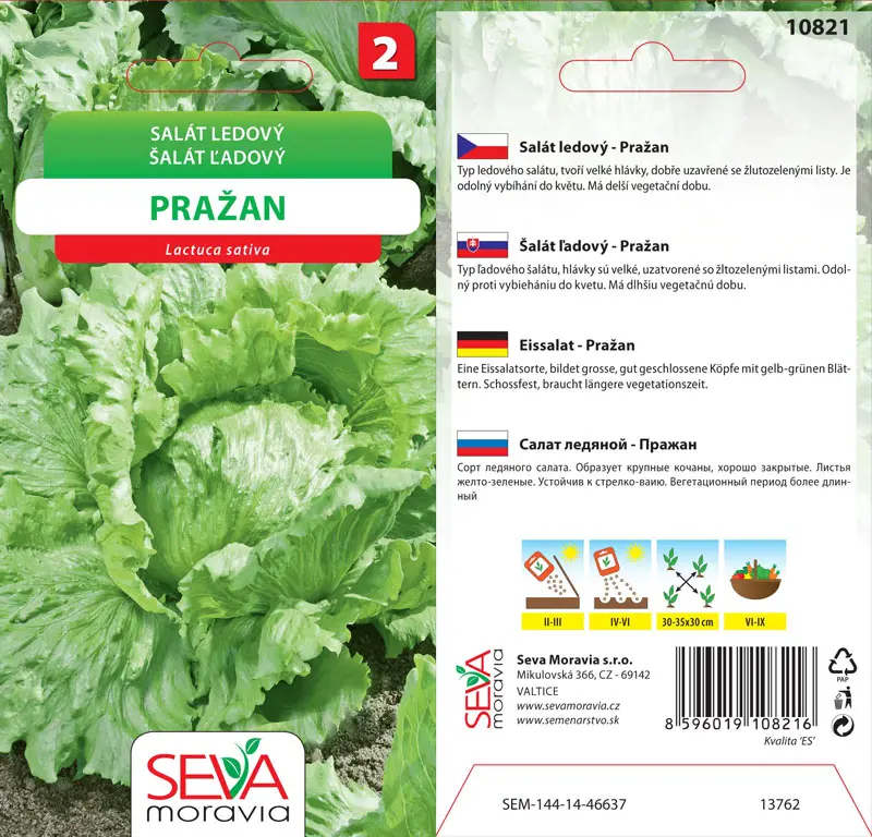 .SALAT LADOVY -PRAZAN 0,5g* M