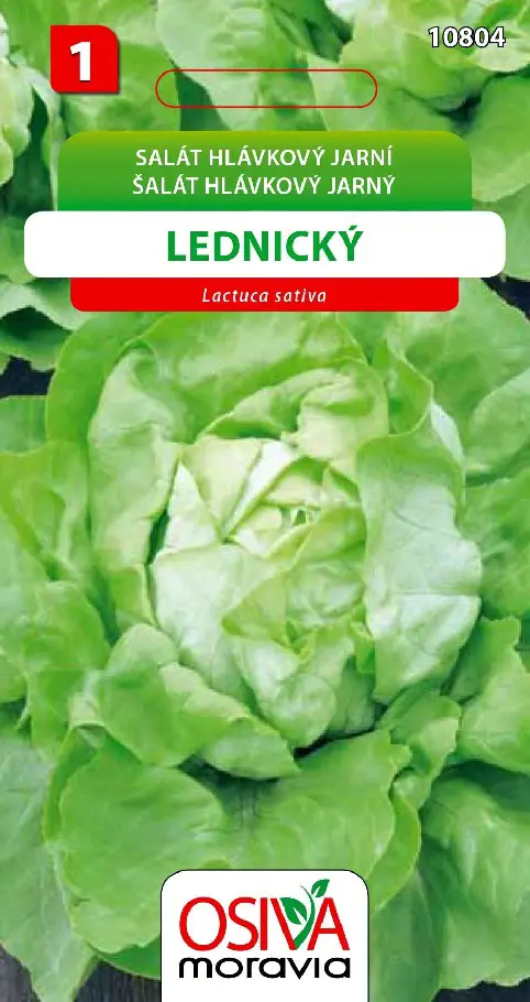 .SALAT HLAVK.JARNY -LEDNICKY 0,5g
